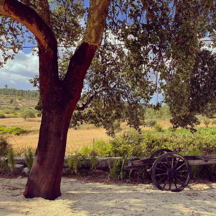 Quinta Da Corga Otel Prova Dış mekan fotoğraf